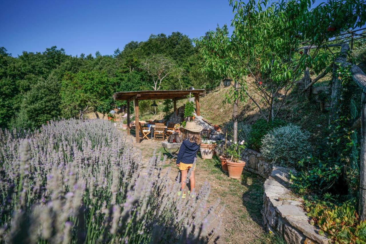 Agriturismo La Colombella Баньї-Сан-Філіппо Екстер'єр фото