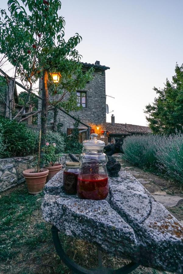 Agriturismo La Colombella Баньї-Сан-Філіппо Екстер'єр фото